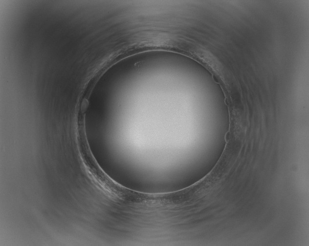 X0000073490482200607311230