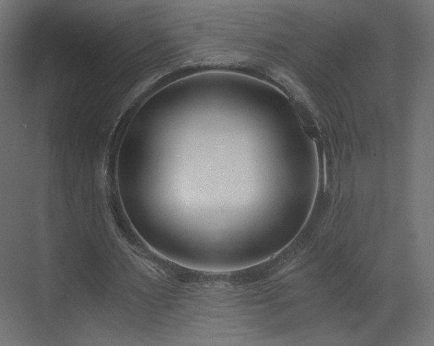 X0000073490483200607311230