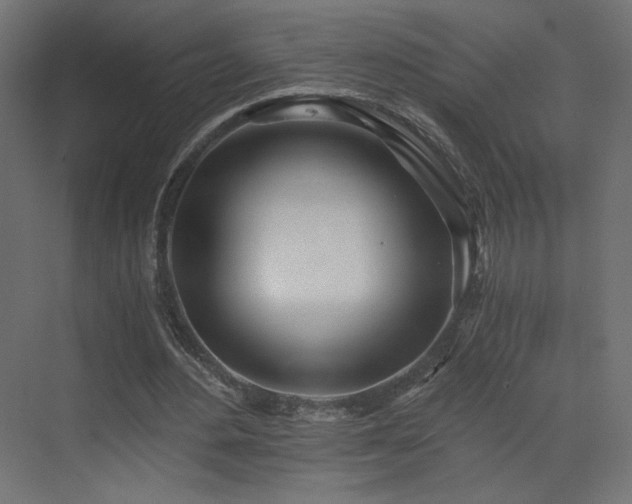 X0000073490484200607311230