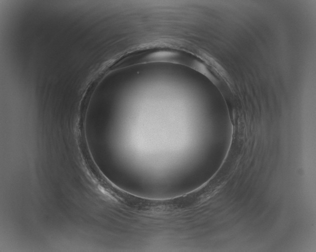 X0000073490485200607311230