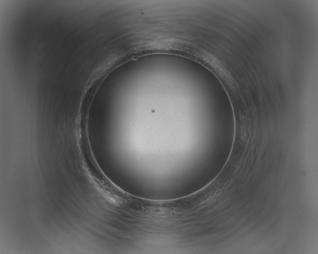 X0000073490486200607311230