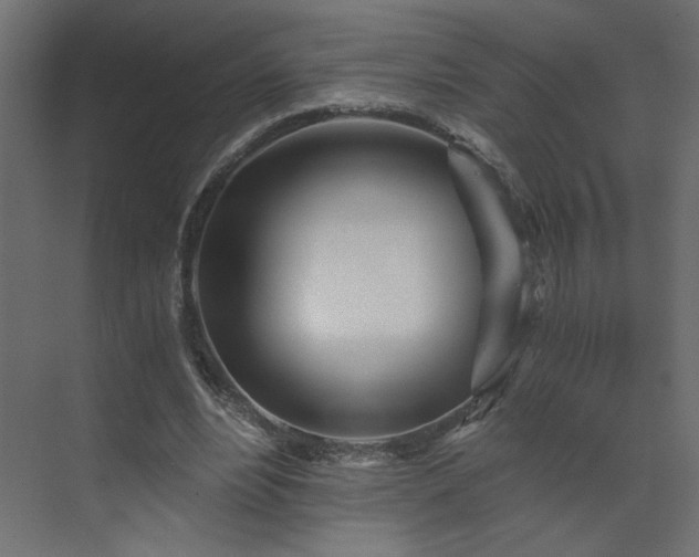 X0000073490488200607311230