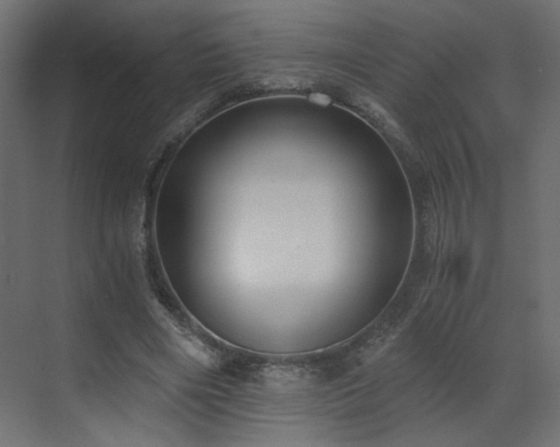 X0000073490490200607311230
