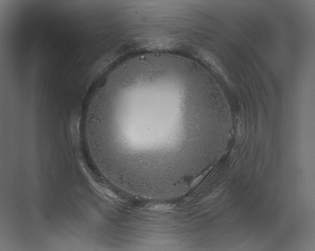 X0000073490491200607311230