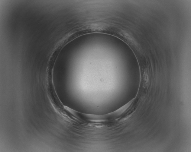 X0000073490492200607311230