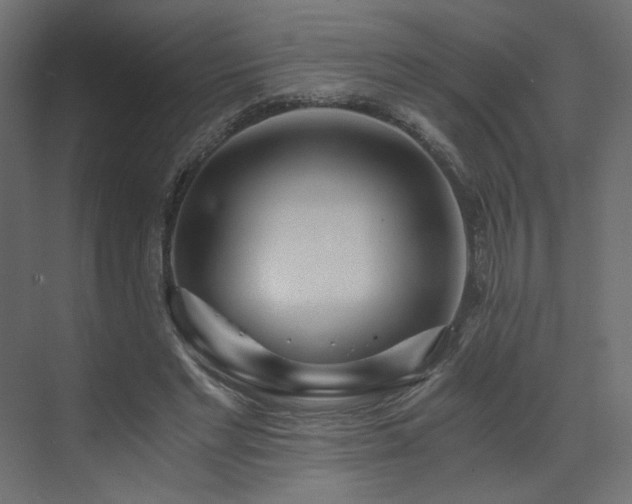 X0000073490493200607311230