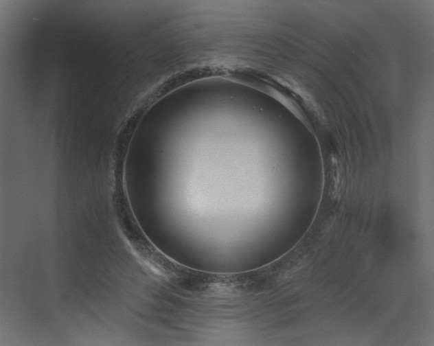 X0000073490496200607311230