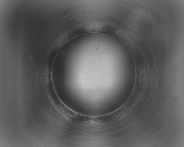 X0000073490498200607311230