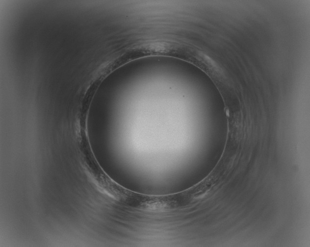 X0000073490500200607311230