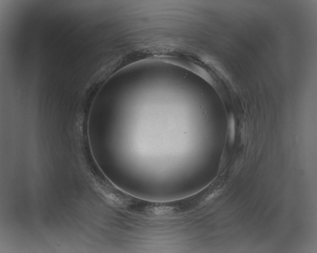 X0000073490501200607311230