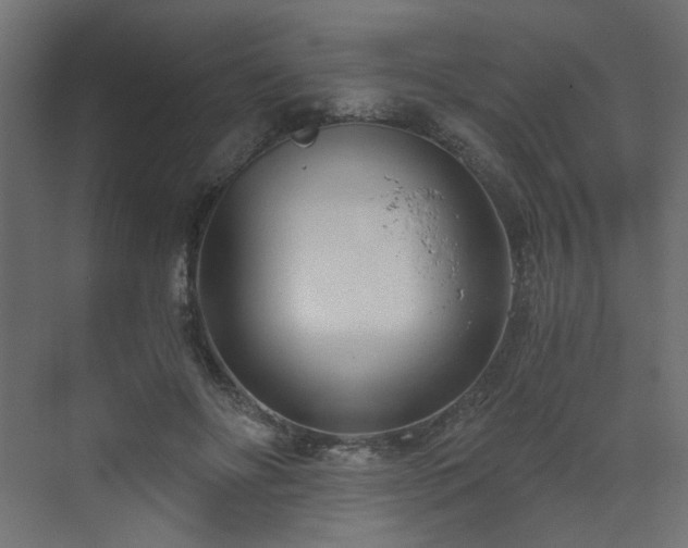 X0000073490502200607311230