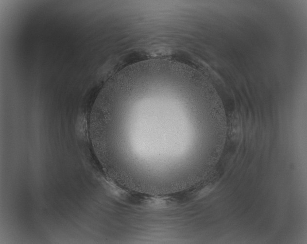 X0000073490523200607311230