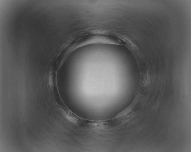 X0000073490524200607311230