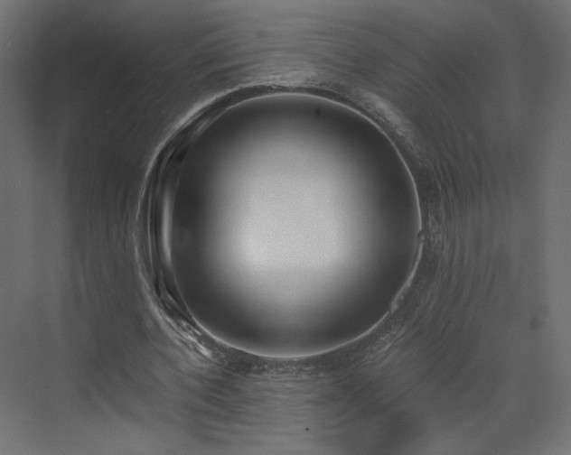 X0000073490532200607311229
