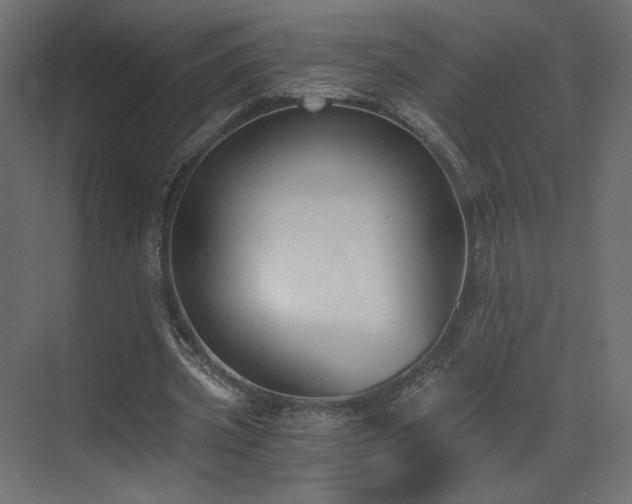 X0000073490533200607311229