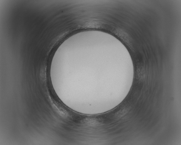 X0000073490534200607311229