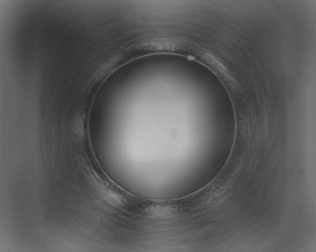 X0000073490537200607311229