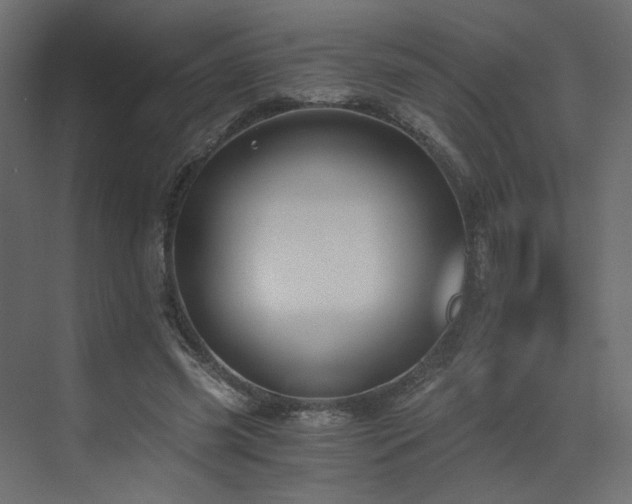 X0000073490541200607311229