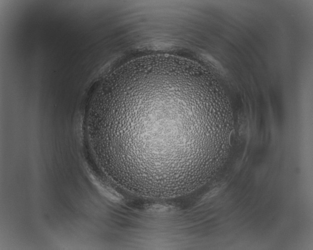 X0000073490542200607311229