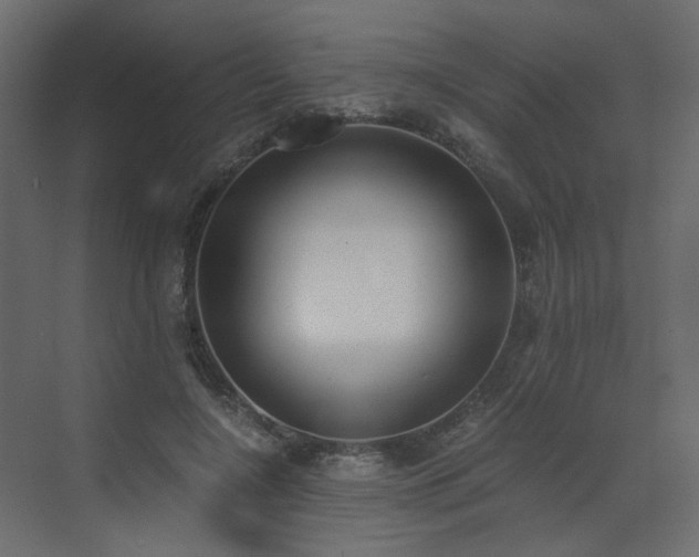 X0000073490548200607311229