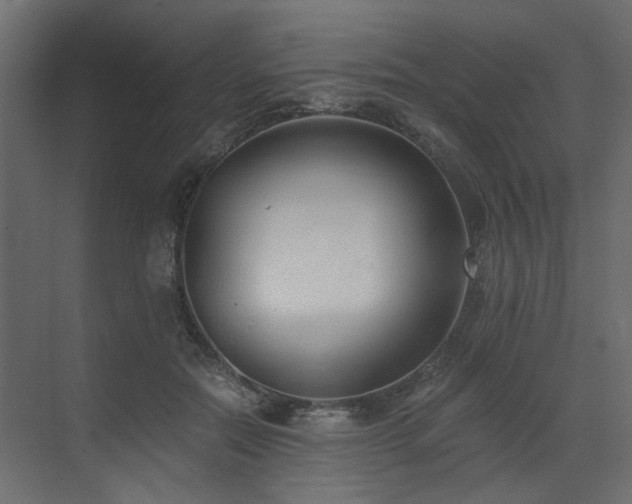 X0000073490554200607311229
