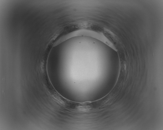 X0000073490556200607311229