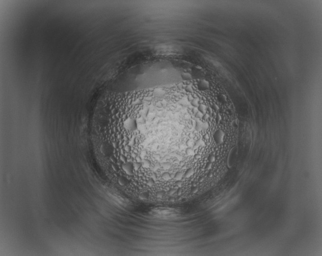 X0000073490557200607311229