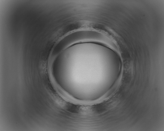 X0000073490560200607311229