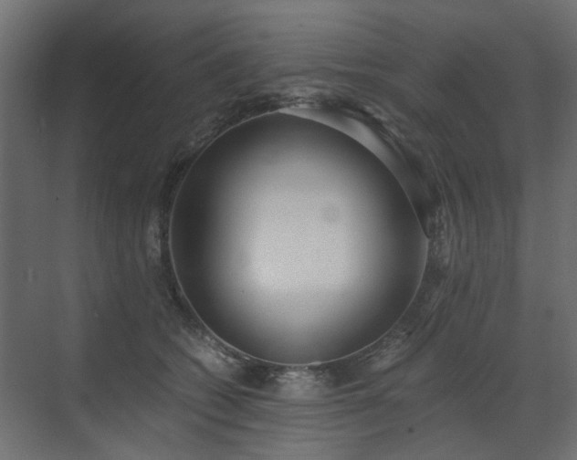 X0000073490562200607311229