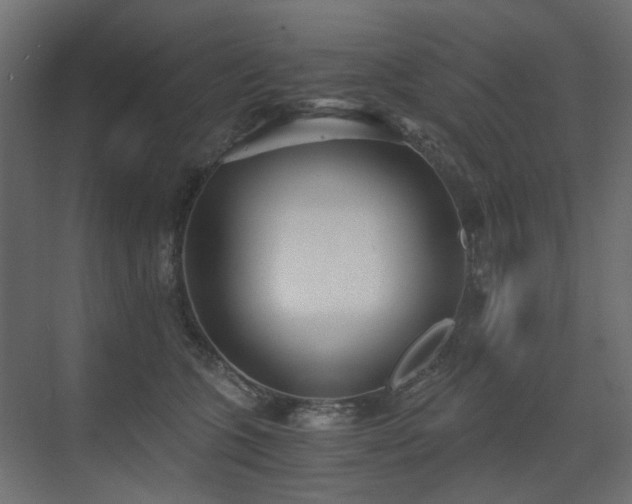 X0000073490563200607311229