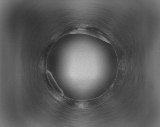 X0000073490564200607311229