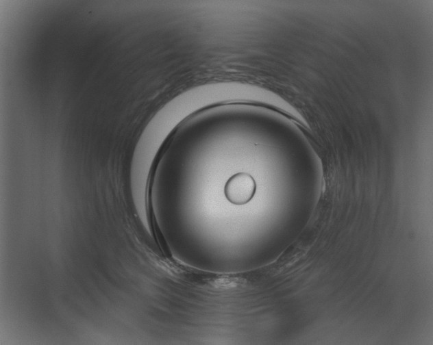 X0000073490566200607311229