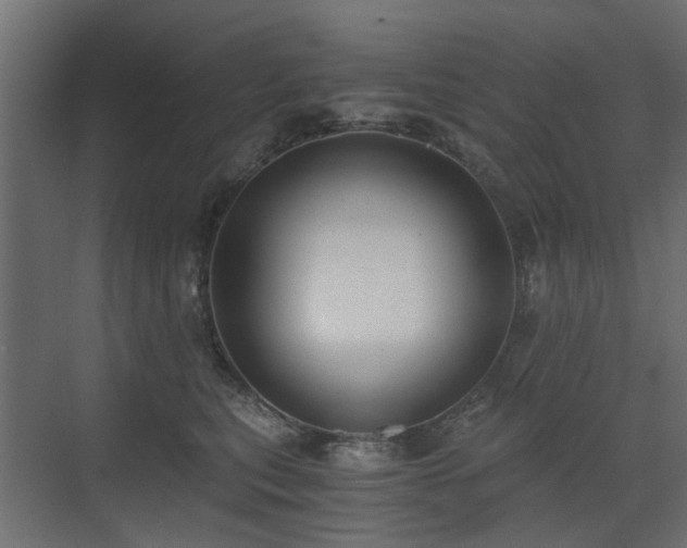X0000073490567200607311229
