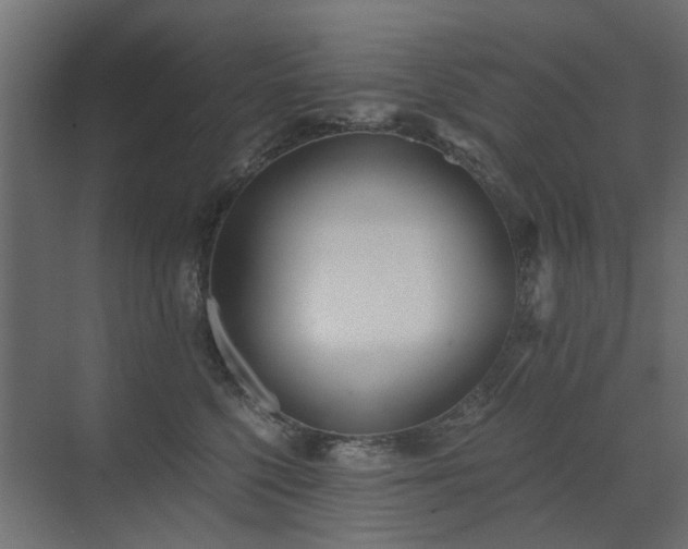 X0000073490568200607311229