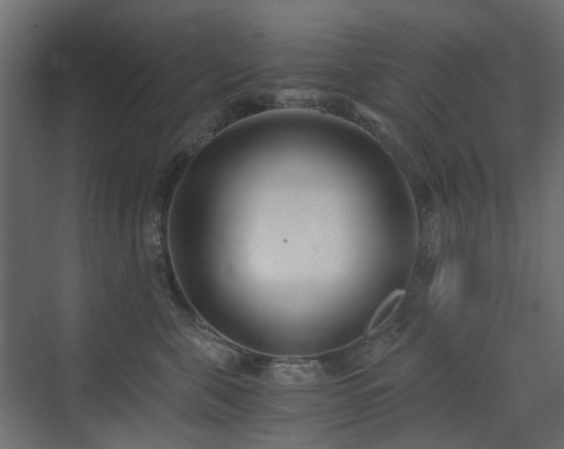 X0000073490571200607311229