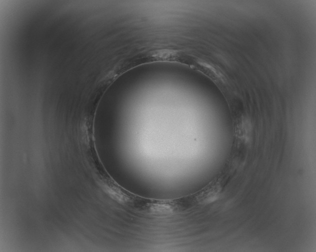 X0000073490572200607311229