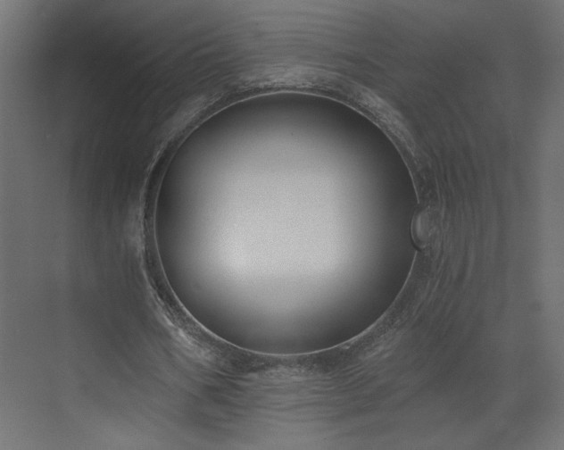 X0000073490578200607311229