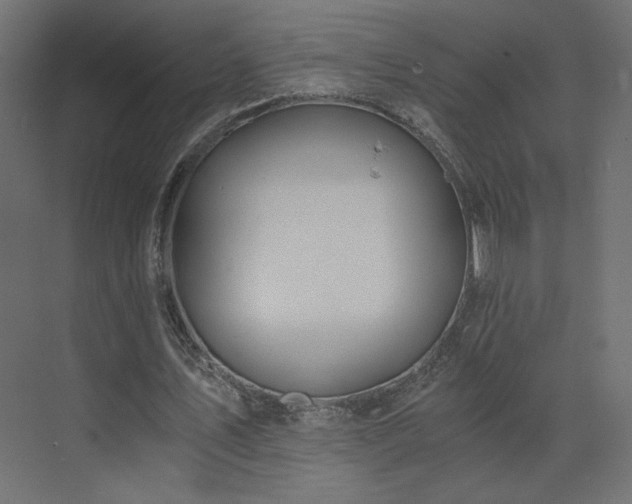 X0000073490579200607311229