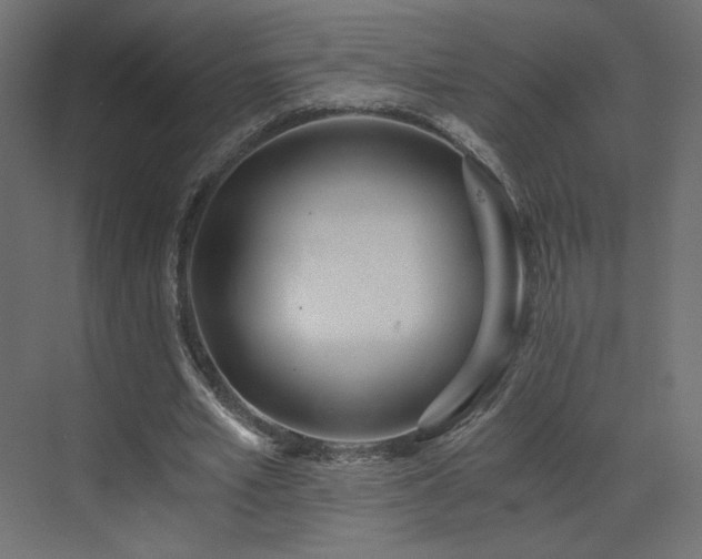 X0000073490581200607311229