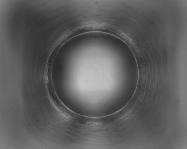 X0000073490582200607311229