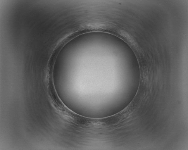 X0000073490583200607311229