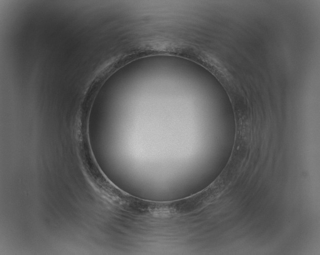 X0000073490587200607311229