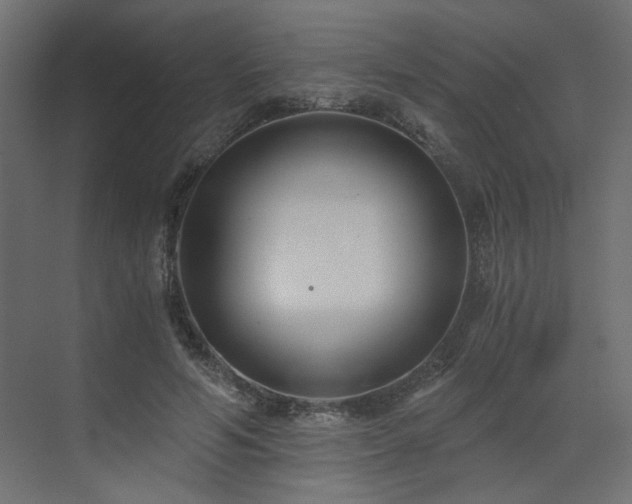 X0000073490594200607311228