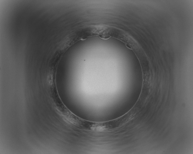 X0000073490602200607311228