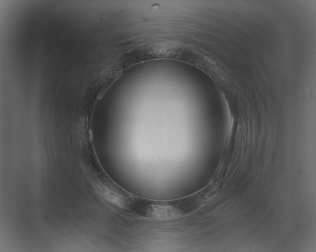 X0000073490605200607311228