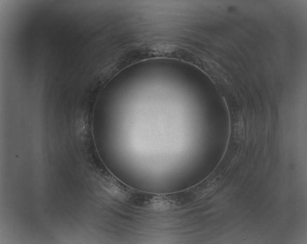 X0000073490608200607311228