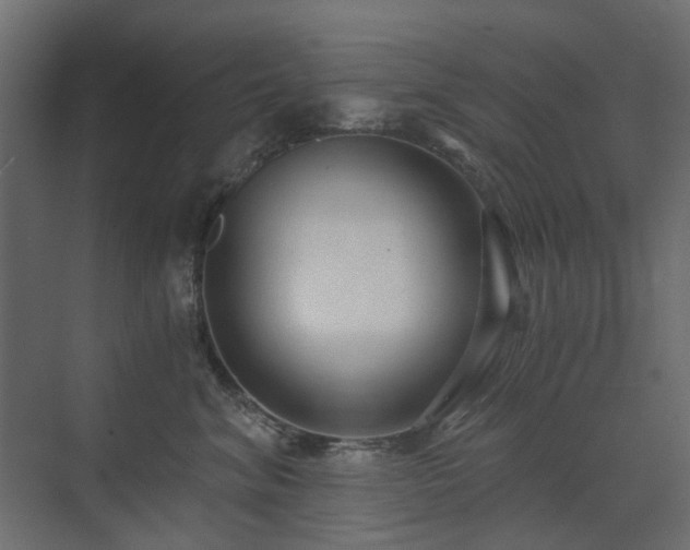 X0000073490620200607311228