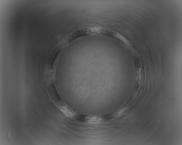 X0000073490621200607311228