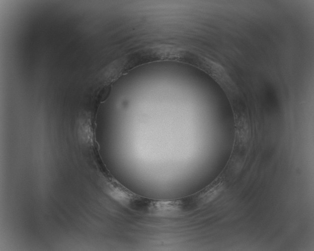 X0000073490622200607311228