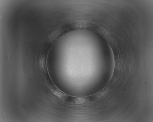 X0000073490623200607311228